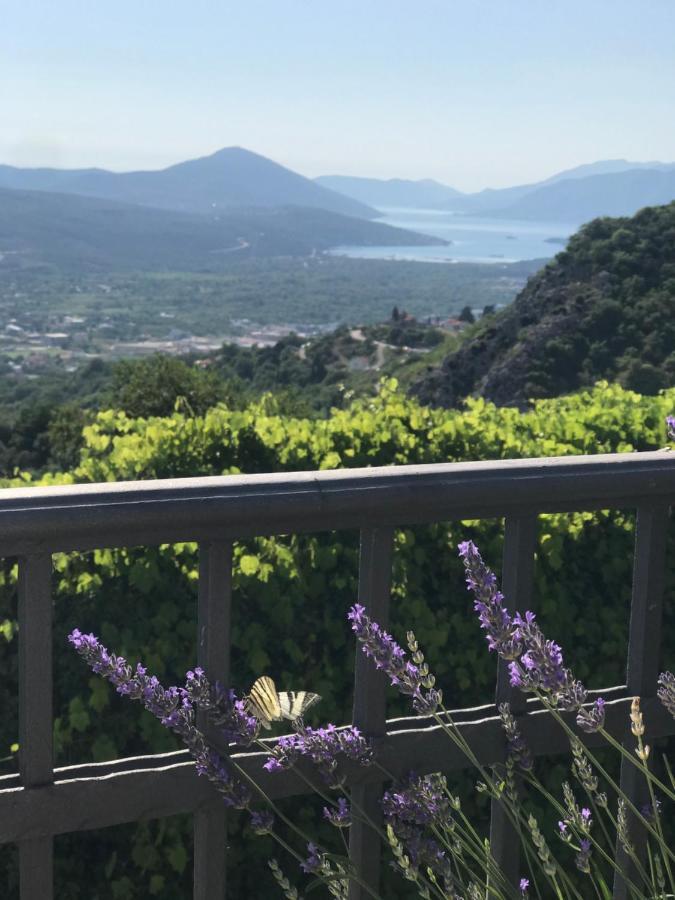 Villa Nikoleta コトル エクステリア 写真