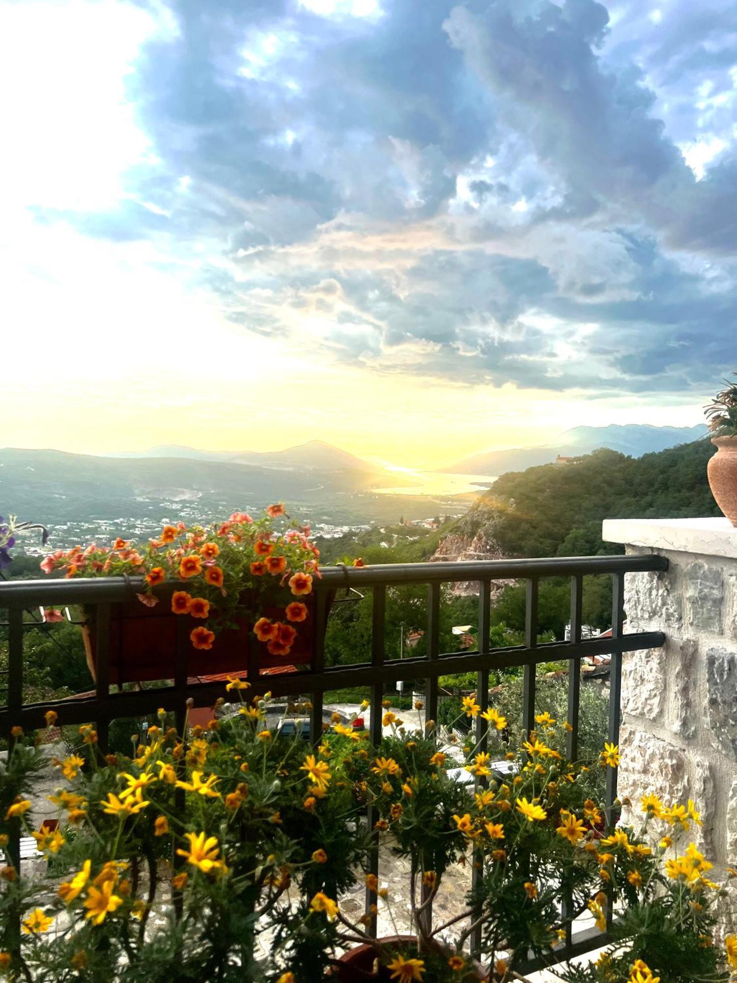 Villa Nikoleta コトル エクステリア 写真