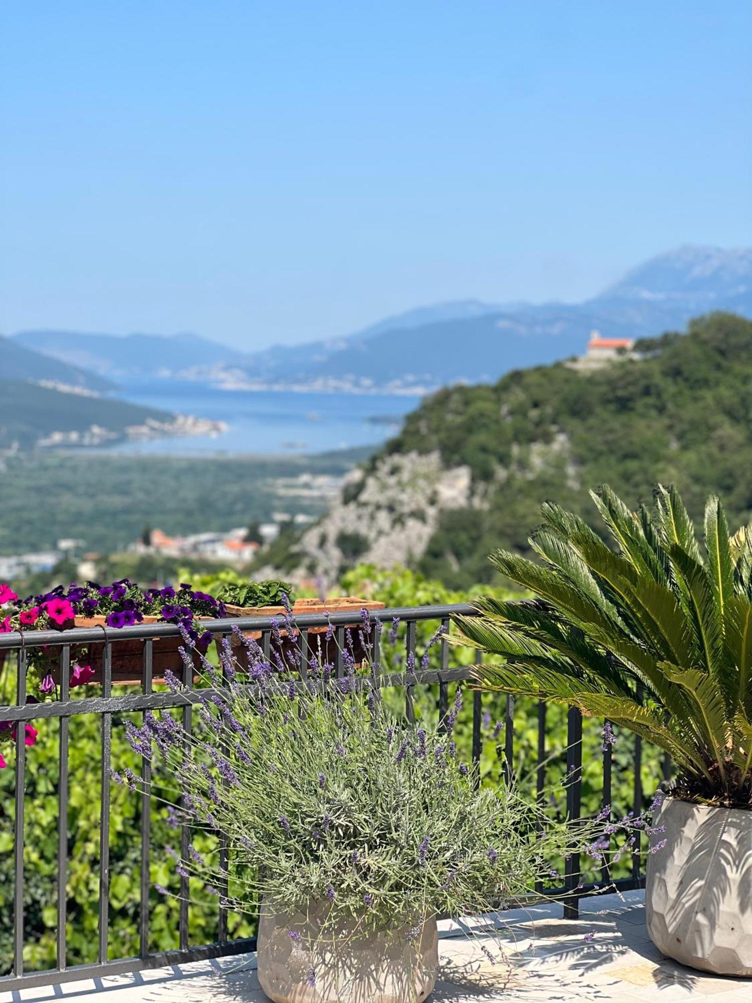 Villa Nikoleta コトル エクステリア 写真